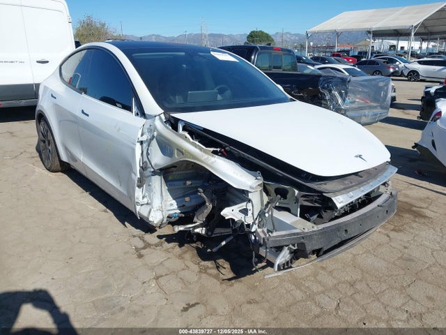 2023 TESLA MODEL Y 7SAYGDEF8PF624047
