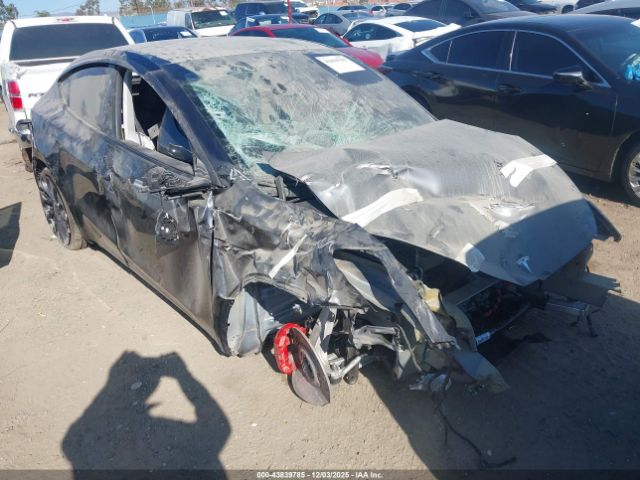 2024 TESLA MODEL Y 7SAYGDEF9RF076837 Photo 0