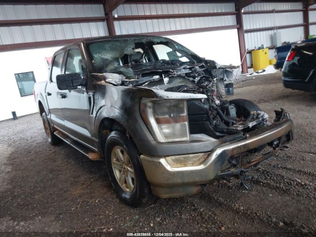 2022 FORD F-150 1FTFW1E51NKE75669