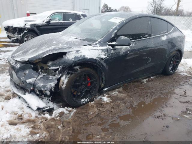 2024 TESLA MODEL Y 7SAYGDEF9RF022048 Photo 1