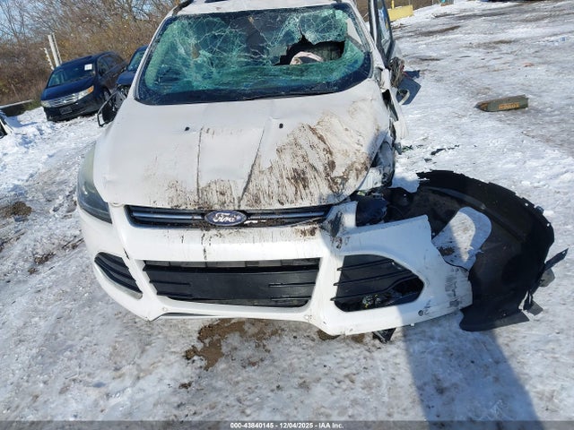 Продаж на аукціоні авто 2014 Ford Escape Titanium, vin: 1FMCU9JX3EUB25409, номер лоту: 43840145