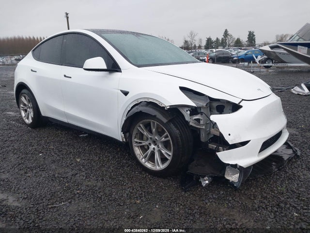 2020 TESLA MODEL Y 5YJYGDEEXLF041588 Photo 0