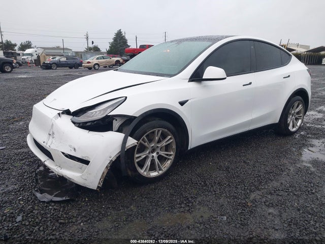 2020 TESLA MODEL Y 5YJYGDEEXLF041588 Photo 1