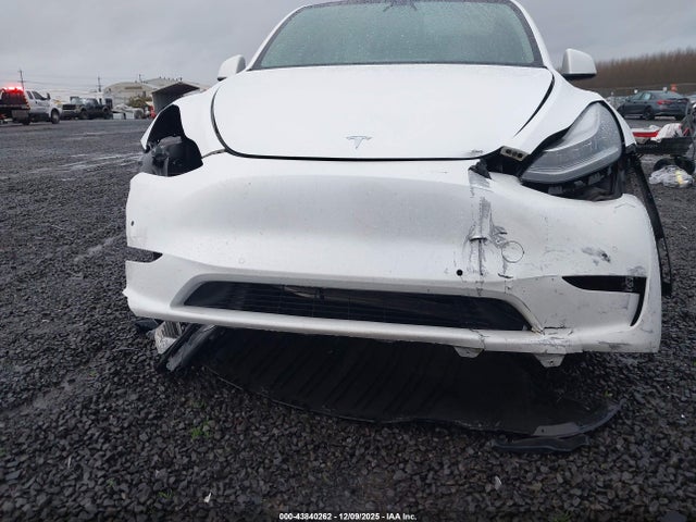 2020 TESLA MODEL Y 5YJYGDEEXLF041588 Photo 5