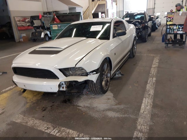 1ZVBP8AM5E5248434 Ford Mustang V6