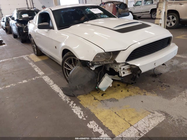 1ZVBP8AM5E5248434 Ford Mustang V6
