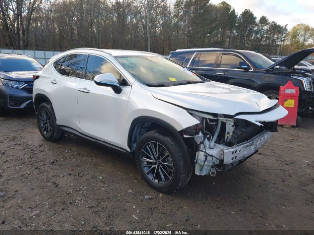 2023 LEXUS NX 250 JTJADCAZ1P2006666