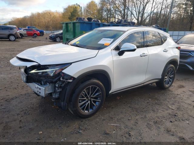 2023 LEXUS NX 250 JTJADCAZ1P2006666 Photo 1
