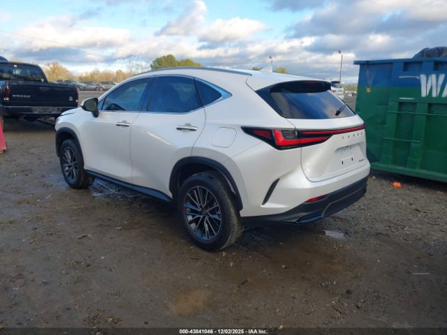 2023 LEXUS NX 250 JTJADCAZ1P2006666 Photo 2