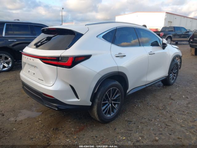 2023 LEXUS NX 250 JTJADCAZ1P2006666 Photo 3