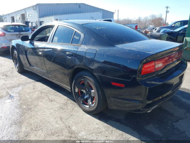 2014 DODGE CHARGER 2C3CDXAT8EH121224 Photo 2