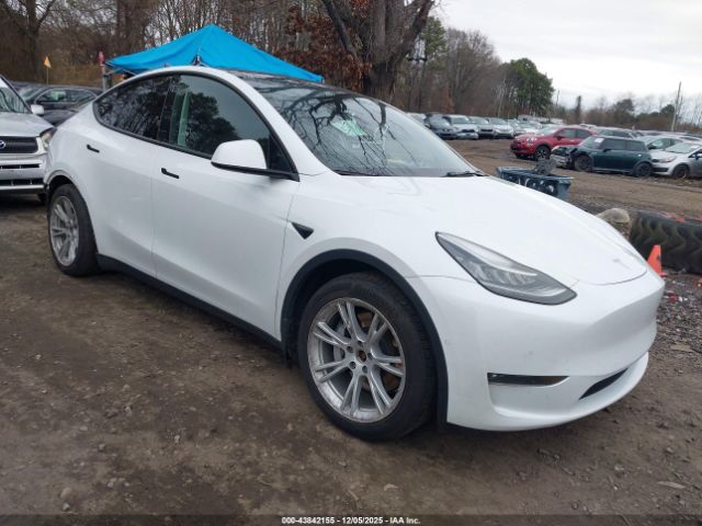 2021 TESLA MODEL Y 5YJYGAEE9MF196293