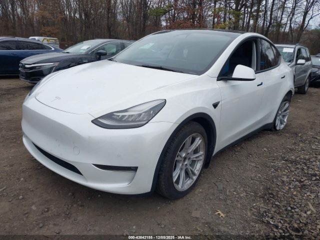 2021 TESLA MODEL Y 5YJYGAEE9MF196293 Photo 1