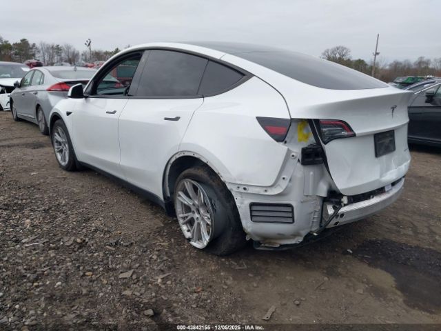 2021 TESLA MODEL Y 5YJYGAEE9MF196293 Photo 2