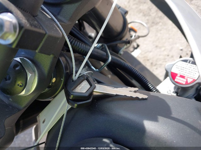 Kawasaki Klx300 S 2025 ML5LXBG11SDA38008 Image 11
