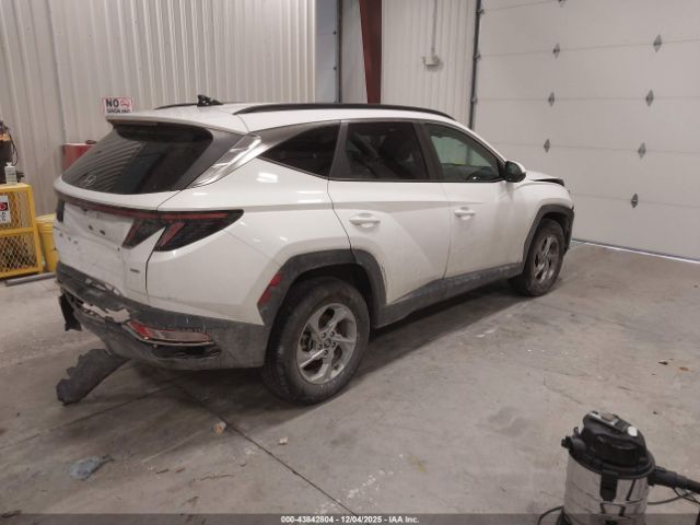 2023 HYUNDAI TUCSON 5NMJBCAE5PH215880 Photo 3