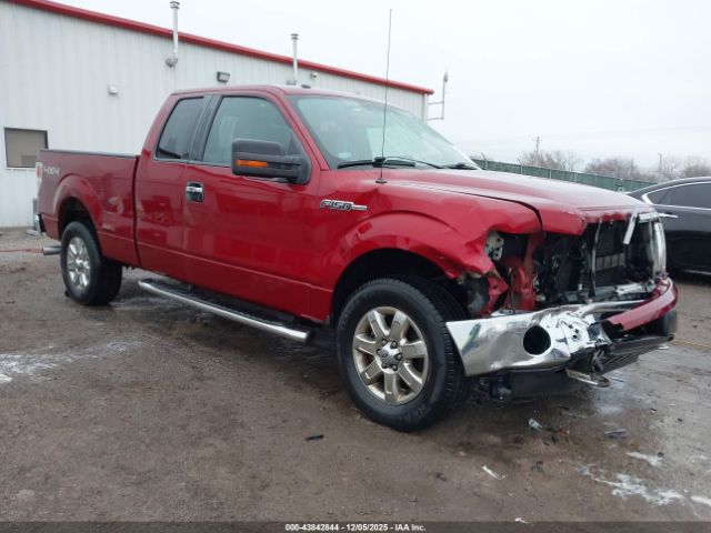 2013 FORD F-150 1FTFX1EF3DKG08520