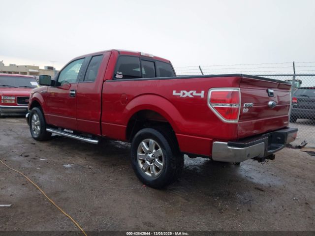 2013 FORD F-150 1FTFX1EF3DKG08520 Photo 2