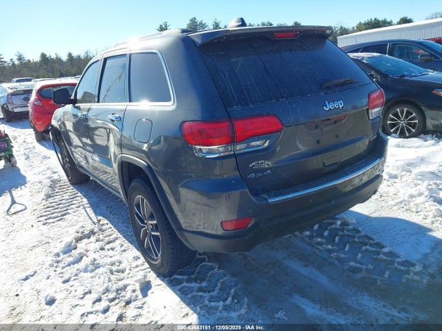Jeep Grand Cherokee Limited 4x4 2019 1C4RJFBG8KC608237 Image 3