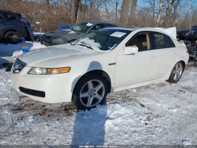 2004 ACURA TL 19UUA66244A034843 Photo 1