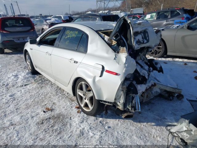 2004 ACURA TL 19UUA66244A034843 Photo 2