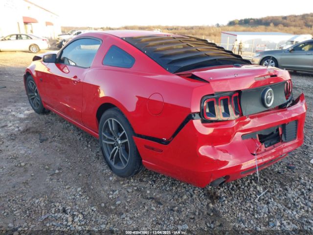 2013 FORD MUSTANG 1ZVBP8AM5D5204156 Photo 2