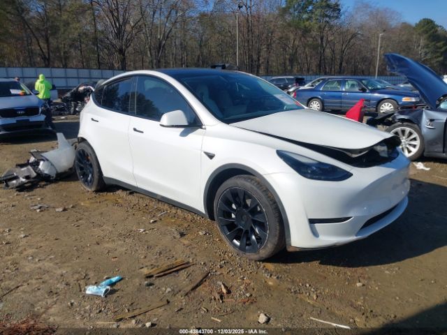 2023 TESLA MODEL Y 7SAYGDEE5PF635160 Photo 0