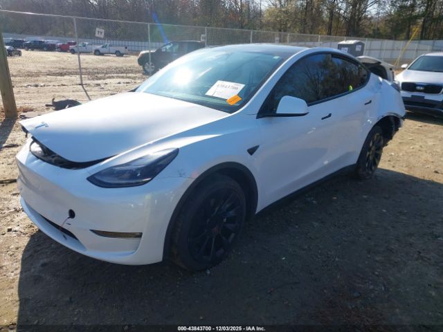 2023 TESLA MODEL Y 7SAYGDEE5PF635160 Photo 1