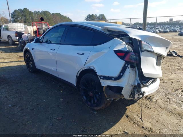 2023 TESLA MODEL Y 7SAYGDEE5PF635160 Photo 2
