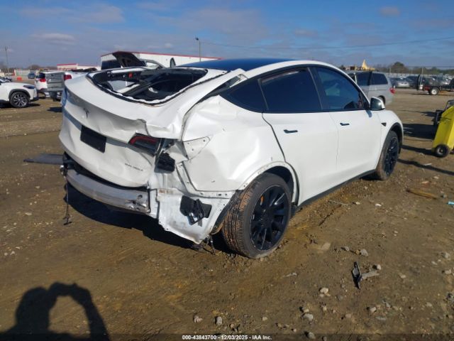 2023 TESLA MODEL Y 7SAYGDEE5PF635160 Photo 3