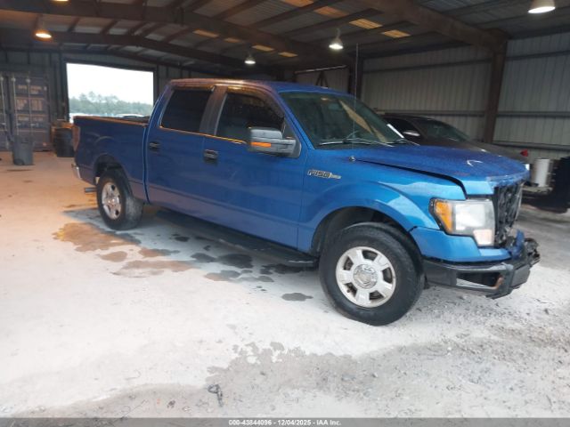 2010 FORD F-150 1FTFW1CV2AKB69027