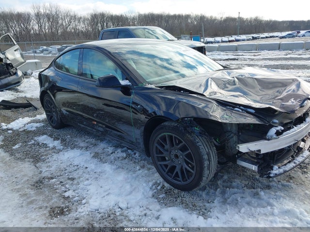 2025 TESLA MODEL 3 5YJ3E1EA3SF969396 Photo 0