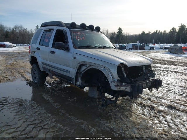 2004 JEEP LIBERTY 1J4GL38K24W141758
