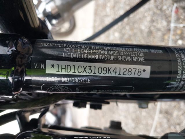 2009 HARLEY-DAVIDSON XL1200 1HD1CX3109K412878 Photo 9