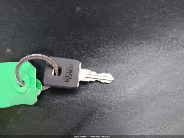 2009 HARLEY-DAVIDSON XL1200 1HD1CX3109K412878 Photo 10