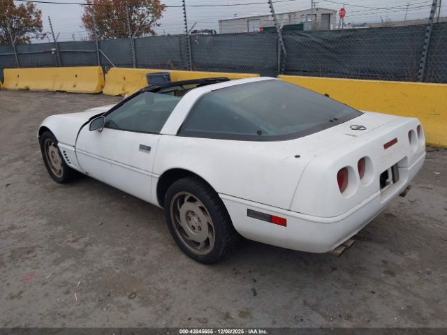 1996 CHEVROLET CORVETTE 1G1YY22P9T5105105 Photo 2