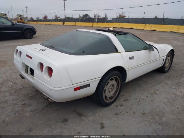 1996 CHEVROLET CORVETTE 1G1YY22P9T5105105 Photo 3