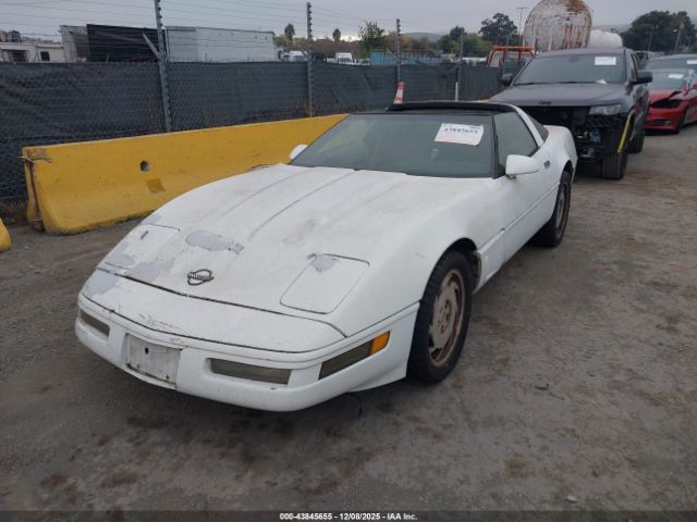 1996 CHEVROLET CORVETTE 1G1YY22P9T5105105 Photo 5