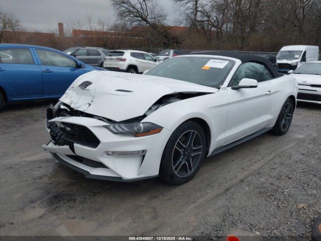 2019 FORD MUSTANG 1FATP8UH1K5161444 Photo 1
