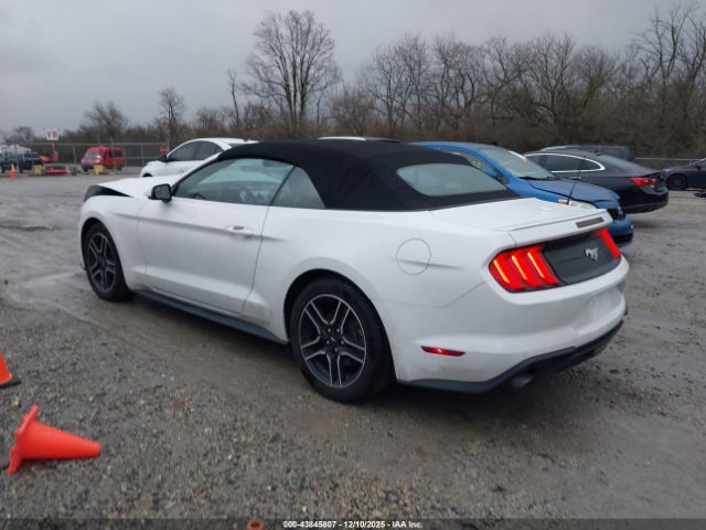 2019 FORD MUSTANG 1FATP8UH1K5161444 Photo 2