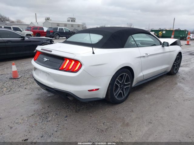 2019 FORD MUSTANG 1FATP8UH1K5161444 Photo 3