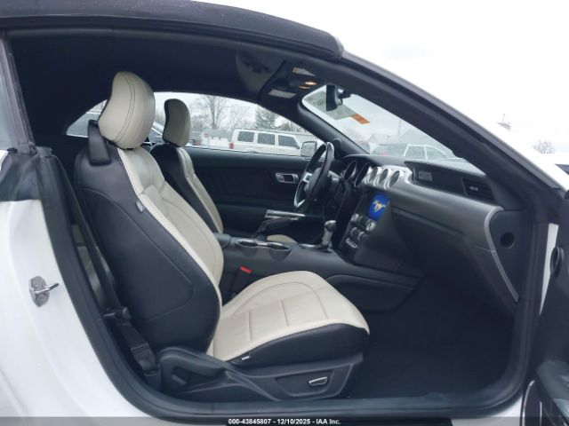2019 FORD MUSTANG 1FATP8UH1K5161444 Photo 4