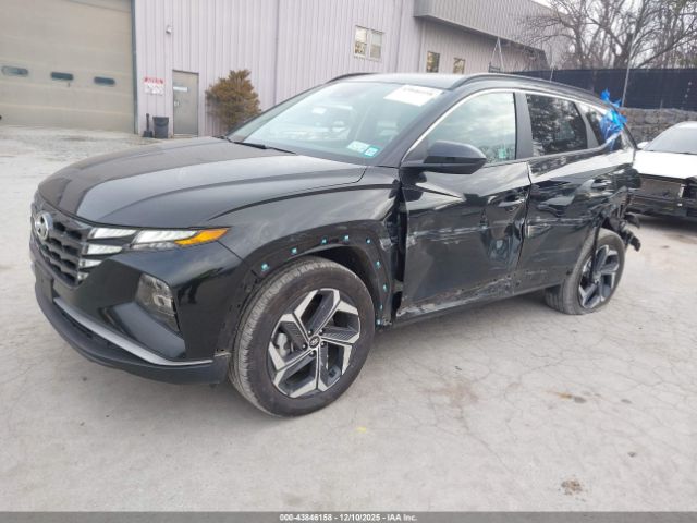 2024 HYUNDAI TUCSON PLUG-IN HYBRID KM8JBDD25RU181762 Photo 1