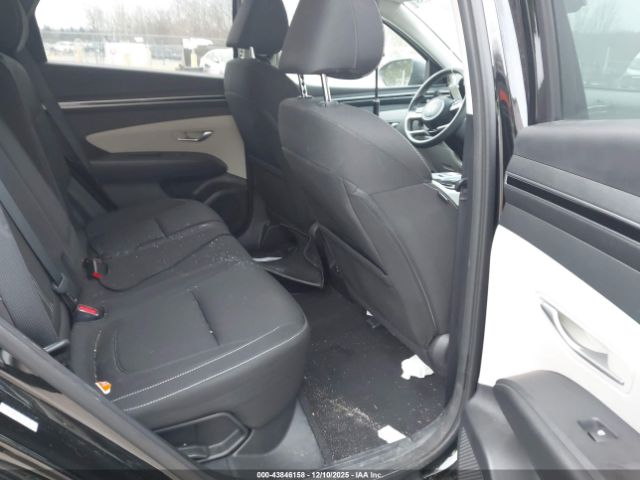 2024 HYUNDAI TUCSON PLUG-IN HYBRID KM8JBDD25RU181762 Photo 7