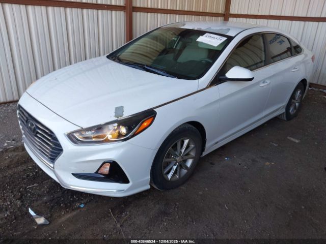 2018 HYUNDAI SONATA 5NPE24AF6JH695499 Photo 1