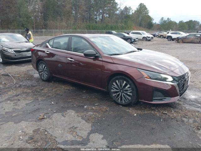 2024 NISSAN ALTIMA 1N4BL4DV8RN309587