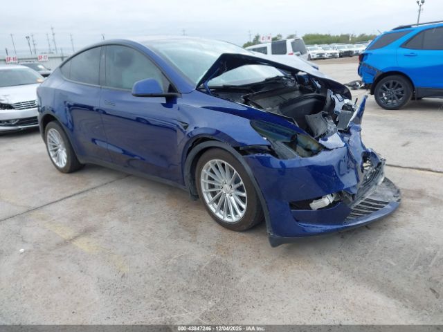 2023 TESLA MODEL Y 7SAYGDEEXPA147884