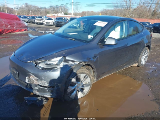 2023 TESLA MODEL Y 7SAYGDEE2PA177669 Photo 1