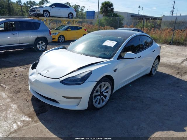 2023 TESLA MODEL 3 5YJ3E1EA7PF427869 Photo 1