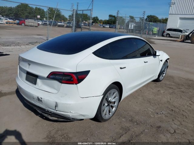 2023 TESLA MODEL 3 5YJ3E1EA7PF427869 Photo 3